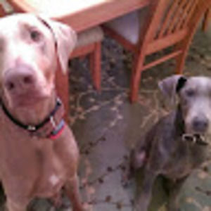 Meet your Posher, Alexandra